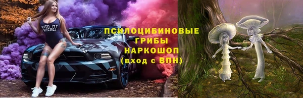 стаф Абинск