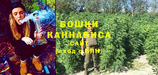 PSILOCYBIN Абдулино