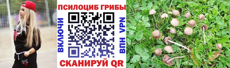 Галлюциногенные грибы Psilocybe  Полтавская 